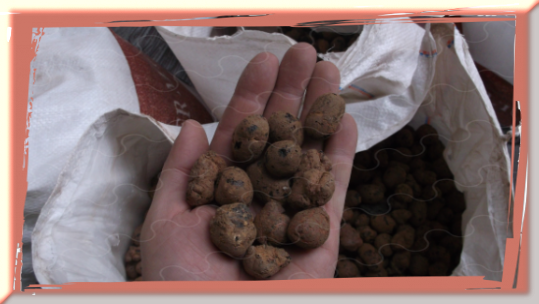 Купить керамзит