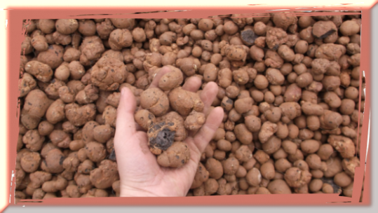 Купить керамзит навалом